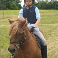 Anden særlig race BASSE #PART#