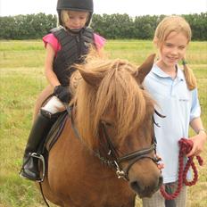 Anden særlig race BASSE #PART#