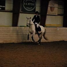 Anden særlig race Jessie