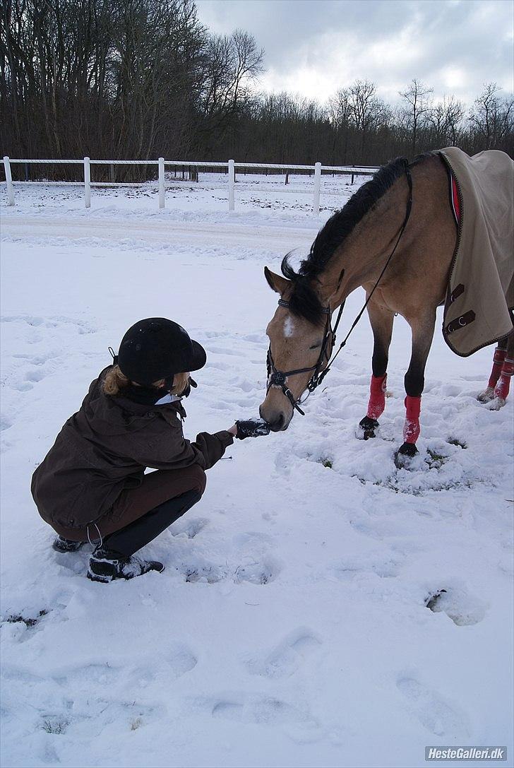 Connemara Loftsome Sandora - Hmm det smager faktisk Okay ;)) billede 9