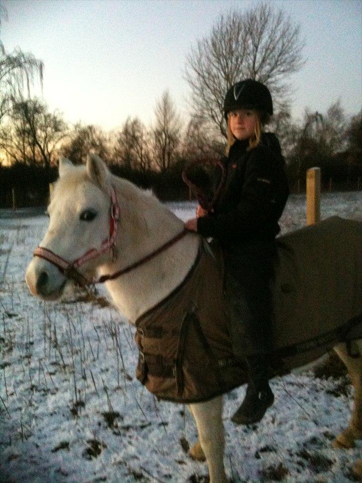 Anden særlig race Freja(SMUKKE) - Storesøster Julie på Smukke billede 2