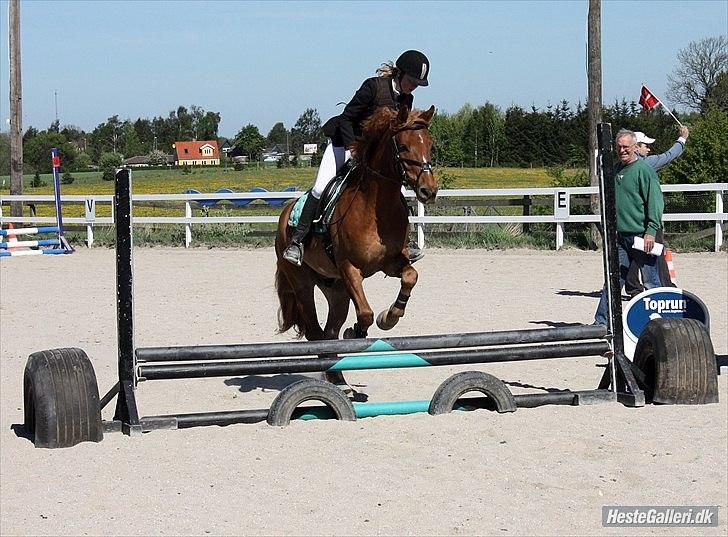 Anden særlig race PEPSI! :D - Andet springstævne. 50 cm, 0 fejl og under et sekund op til 3. pladsen :-D Foto: Anne-Sofie s. Luther. billede 17