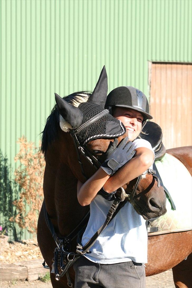 Anden særlig race Apollo  billede 8