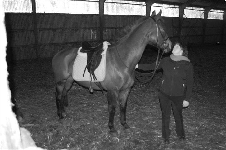 Holstener Magic billede 9