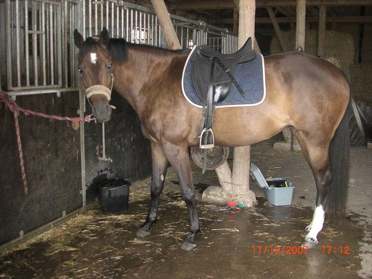 Anden særlig race Valbella - Inden hun blev min :) billede 1