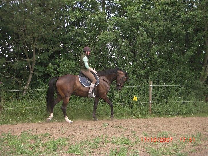 Anden særlig race Valbella - Inden hun blev min, og inden vi begyndte at få undervisning :) billede 2