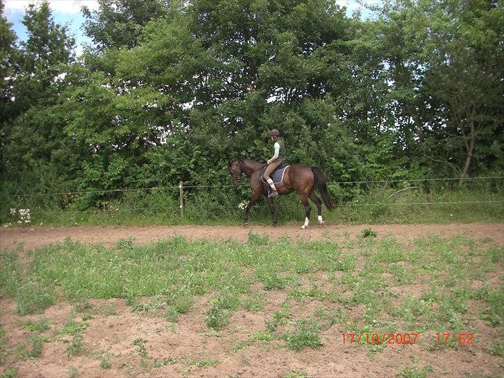 Anden særlig race Valbella - Inden hun blev min, og inden vi begyndte at få undervisning :) billede 3