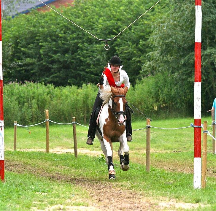 Pinto Fiona - Ringridning Smidstrup billede 12