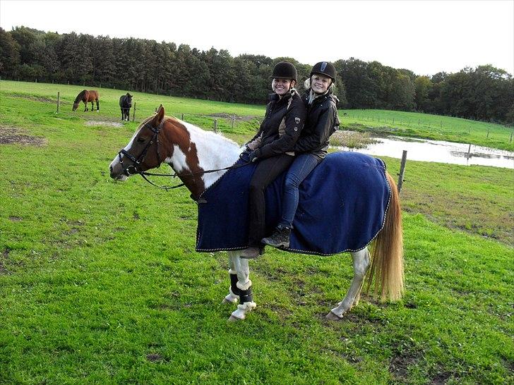 Pinto Fiona - Inger og Sofie på tur på søde Fiona - 2010 billede 13