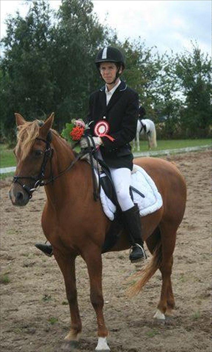 Anden særlig race Zephyr  - Klubsmester 2009, dressur. billede 4