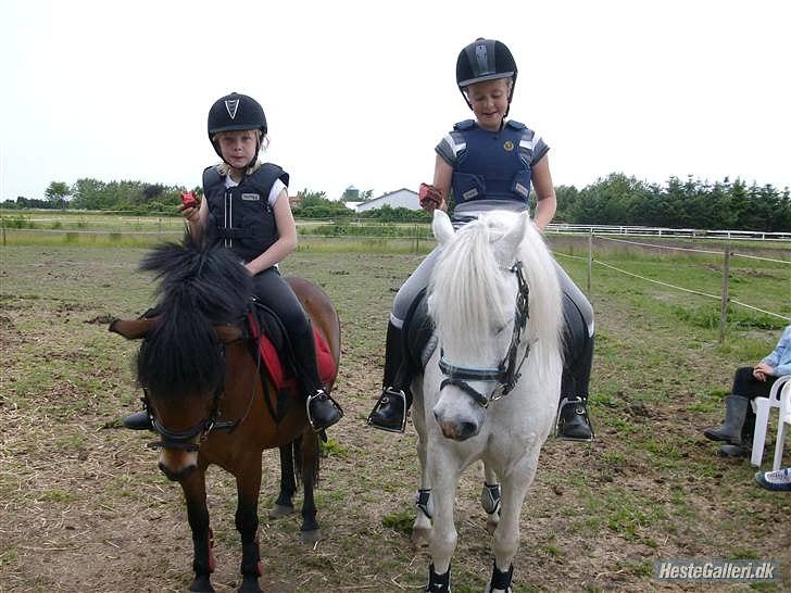 Anden særlig race Freja - Mig og Freja på Kagedagen:) billede 11