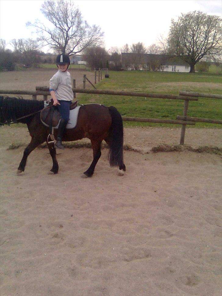 Anden særlig race happy billede 1