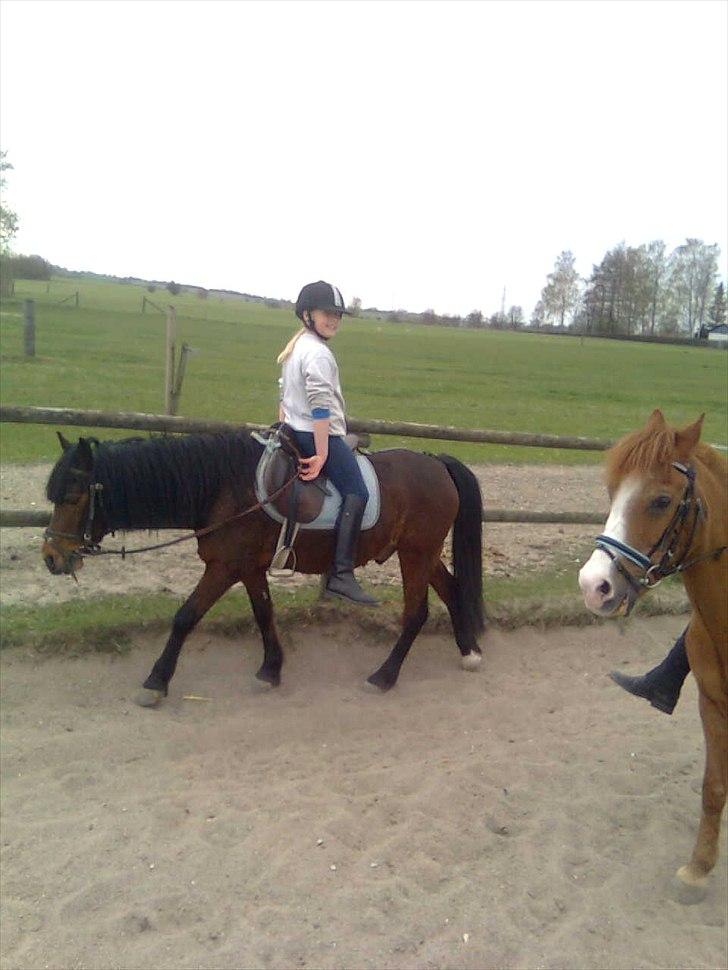 Anden særlig race happy billede 5