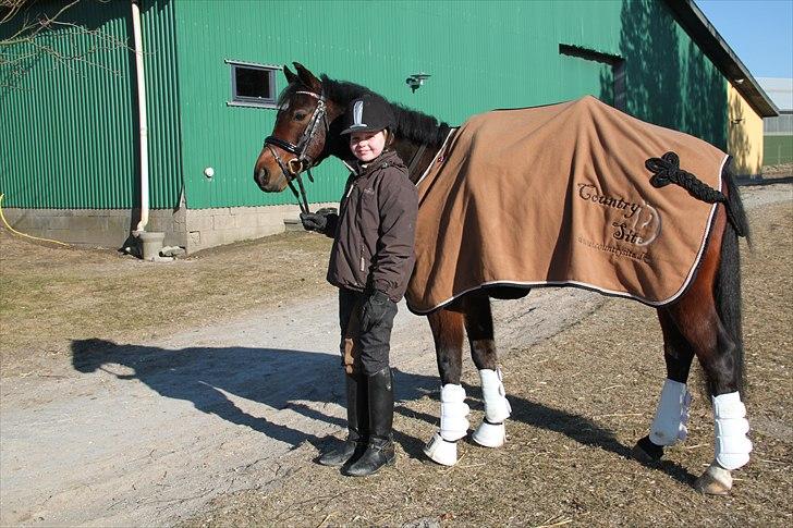 DSP Nørlunds Magic Boy billede 5