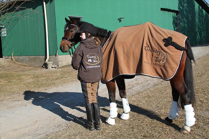 DSP Nørlunds Magic Boy - Countrysite.dk er min sponsor. billede 4