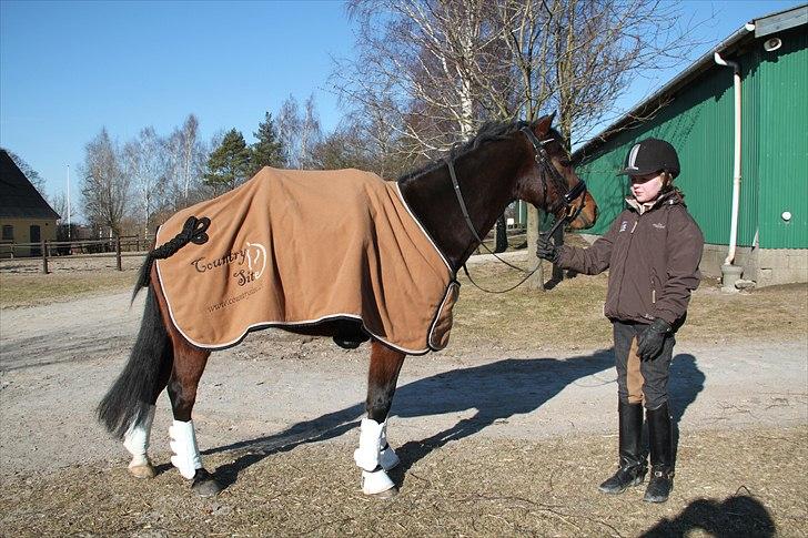 DSP Nørlunds Magic Boy billede 6