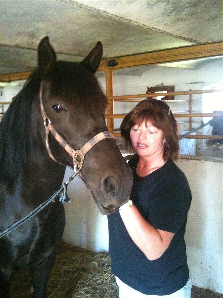 Anden særlig race Lucas - SOLGT billede 13