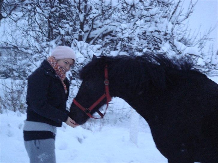 Anden særlig race Lucas - SOLGT billede 14