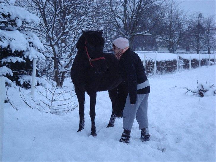 Anden særlig race Lucas - SOLGT billede 19
