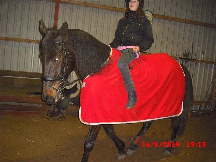 Traver Tøzzen  - Du har stoler på mig - når jeg lader en veninde prøve dig. billede 14