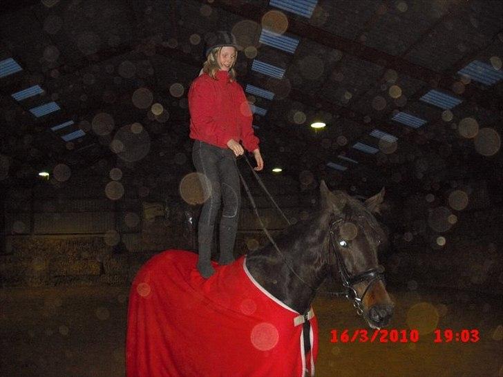 Traver Tøzzen  - Vi stoler på hinanden. billede 15