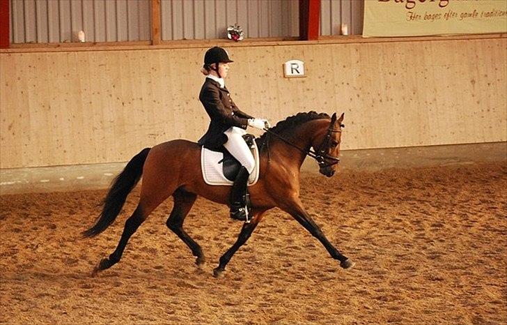 DSP Notre Bac A-pony - Aagerup c-stævne - fotograf: Natascha Frandsen billede 3