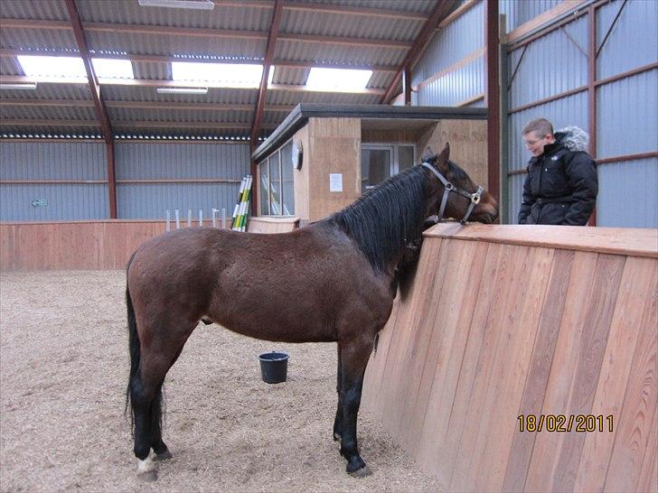 Traver Torak billede 5