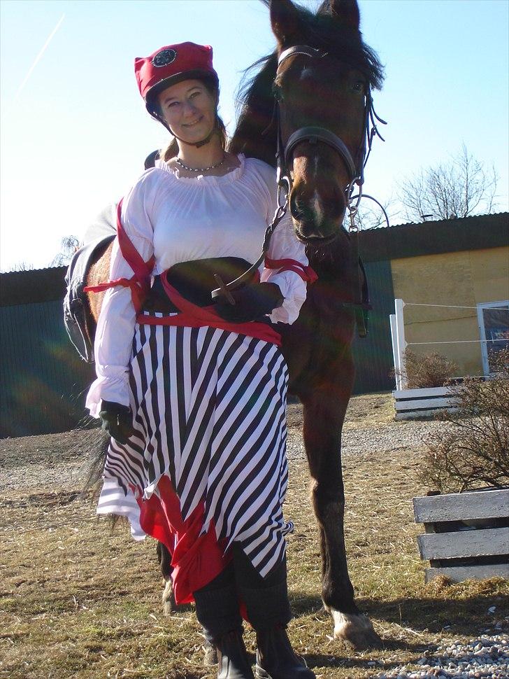 Traver Torak billede 8