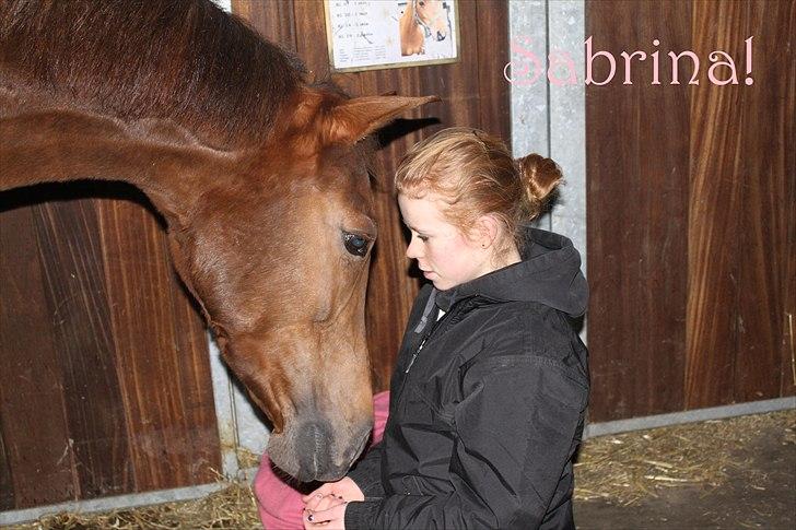 Anden særlig race Sabrina.. PASSER! R.I.P<3 - Sabrina og mig!(: billede 2