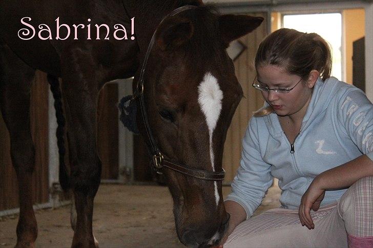 Anden særlig race Sabrina.. PASSER! R.I.P<3 - Sabrina og Trine(: billede 4