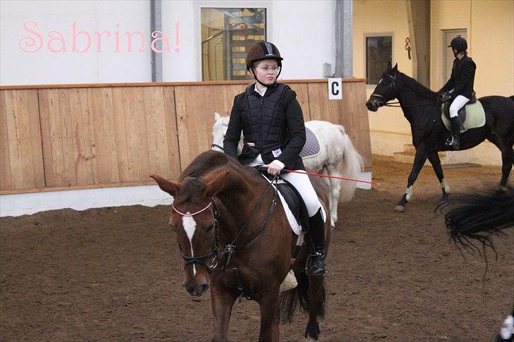 Anden særlig race Sabrina.. PASSER! R.I.P<3 - Opvarmning (: billede 7