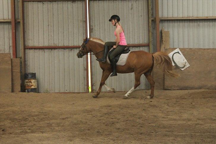 Anden særlig race Lima - jeg skulle jo prøve... ikke? billede 5