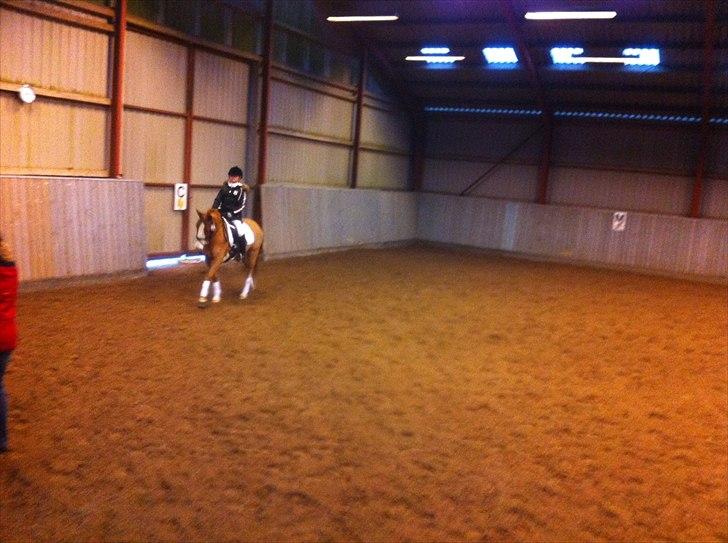 Anden særlig race Stitch billede 10