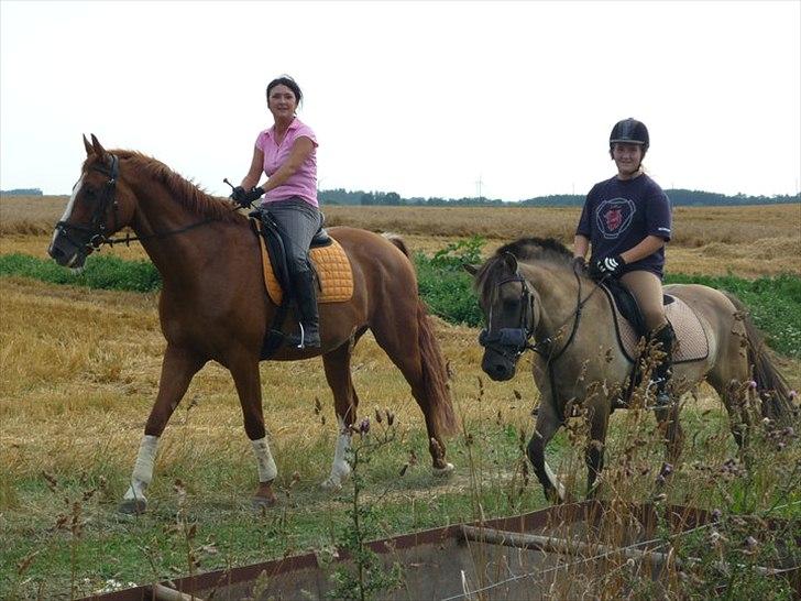 Anden særlig race Lola - gode tider  billede 9