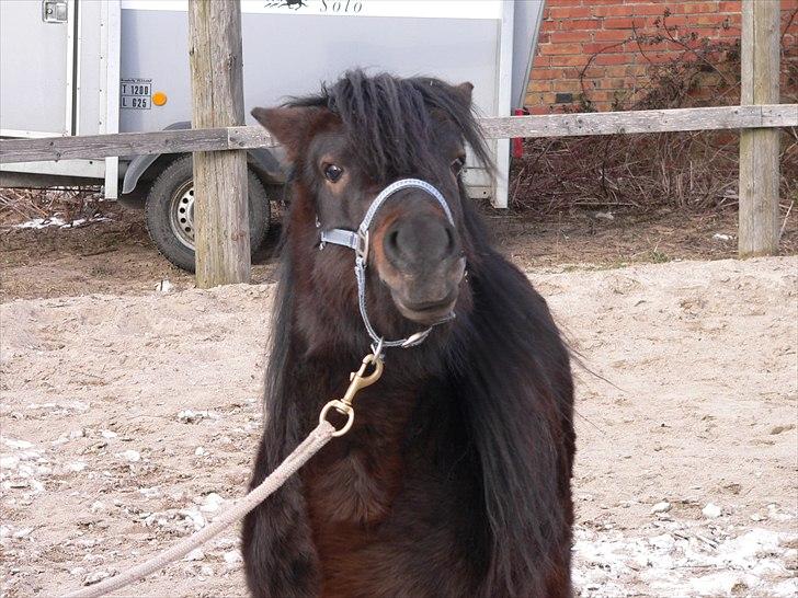 Anden særlig race Maccoy - Fordi jeg elsker dig :´) <3 billede 18