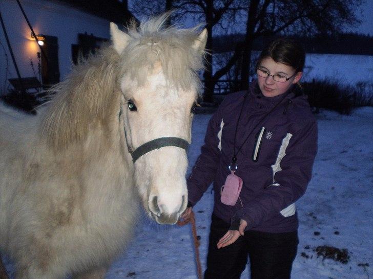 Islænder Bjørk fra Østrup - Bjørk og mig<3 billede 11