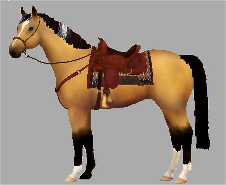 Welsh Partbred (Sec F) Tannes Bailey II blue..SOLGT - Bailey som westernhest, malet i paint billede 11