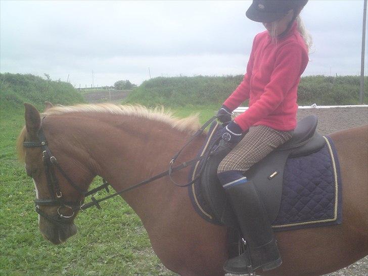 Anden særlig race Lima - Lima med lille Simone billede 10