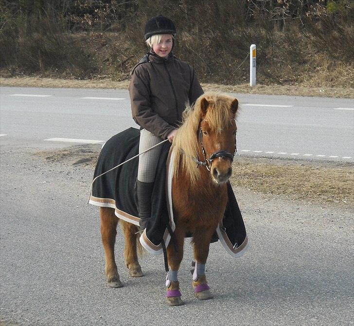 Anden særlig race Oscar SOLGT! - nr.1 velkommen billede 1