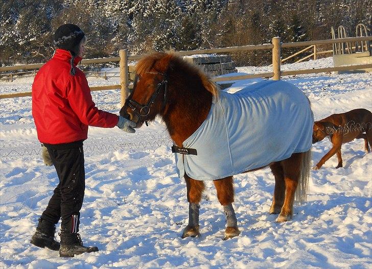 Anden særlig race Oscar SOLGT! - nr.5 billede 5