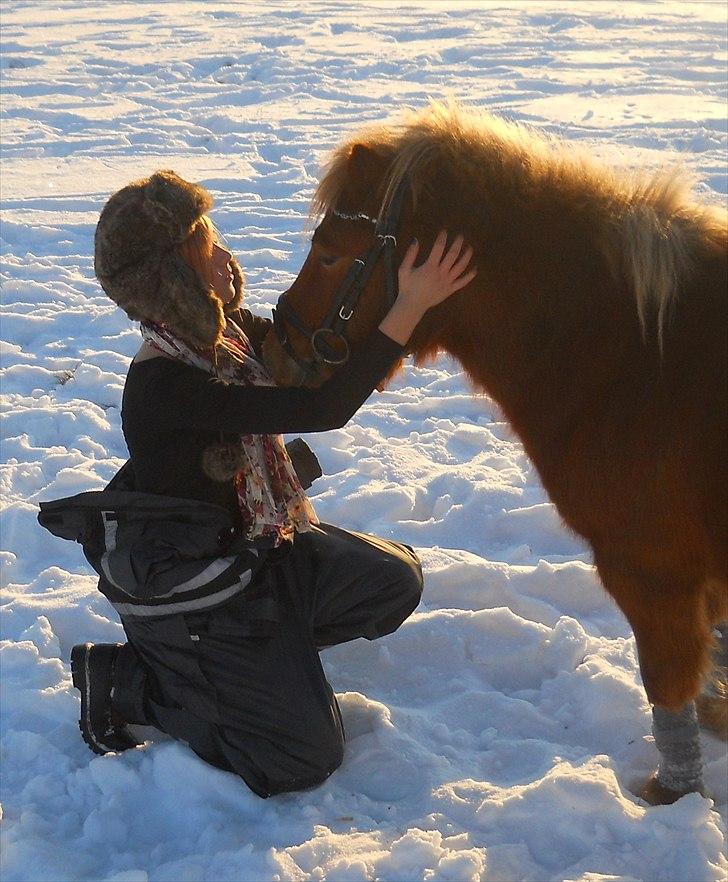 Anden særlig race Oscar SOLGT! - nr.12 billede 12