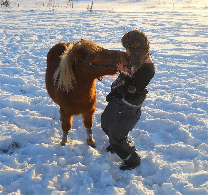 Anden særlig race Oscar SOLGT! - nr.13 billede 13