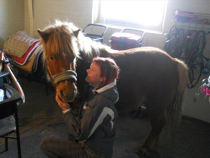 Anden særlig race Oscar SOLGT! - nr.14 billede 14