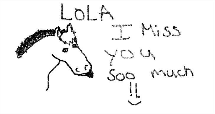 Anden særlig race Lola billede 11