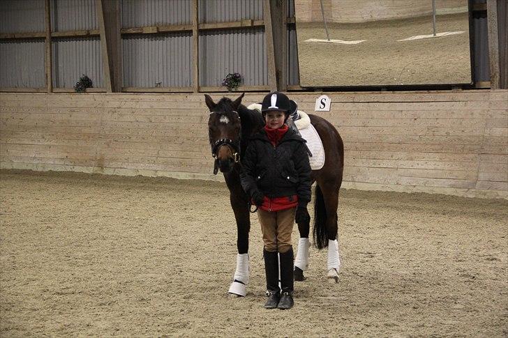 DSP Nørlunds Magic Boy - nu er vi begge godt trætte efter undervisning billede 12