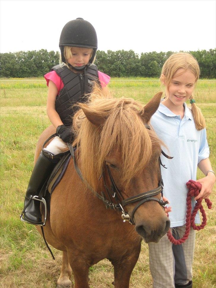 Anden særlig race BASSE #PART# - Louise og mig rider tur med Basse. billede 2