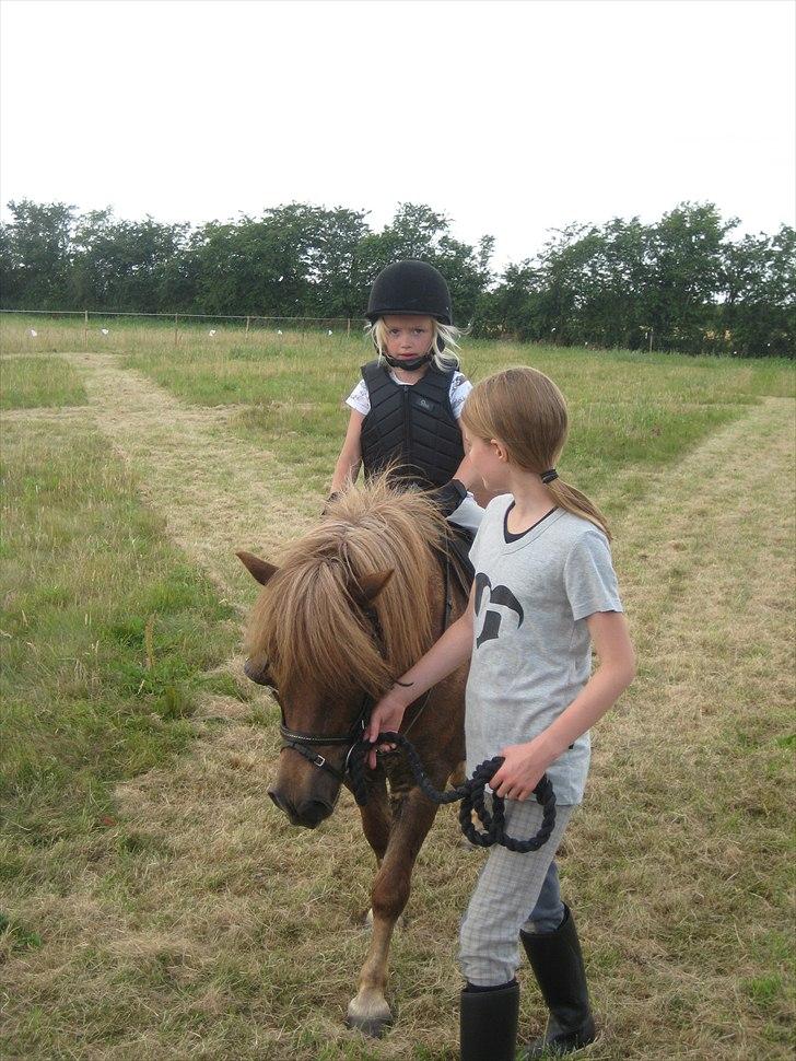 Anden særlig race BASSE #PART# - Louise og jeg rider tur. billede 5