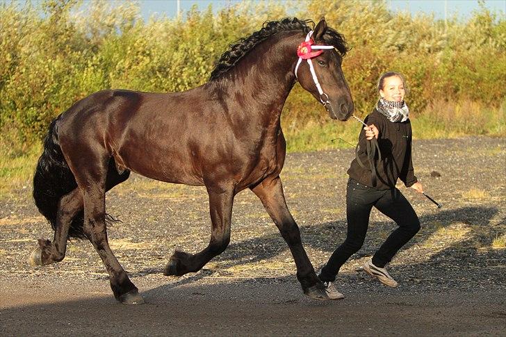 Frieser Paulus fan de Slachtedyk - Paulus og jeg til kåring 2010 billede 12