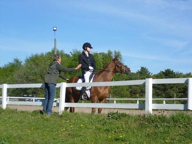 Anden særlig race Pasadena "tyksakken"<3. - Inden Kür og LB1..stævne d. 8/5 - 11 billede 8