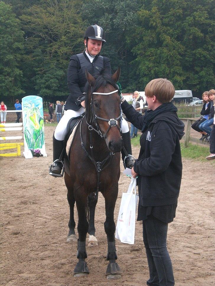 Hollandsk Varmblod Valco - nr 3 i første lc :)  billede 13